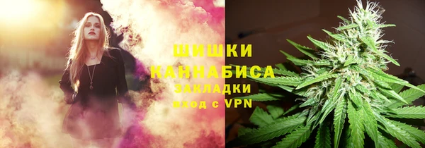 амф Горняк