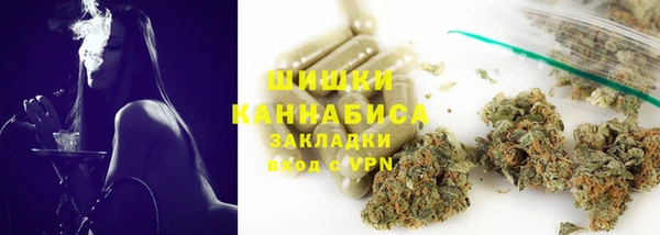 амф Горняк