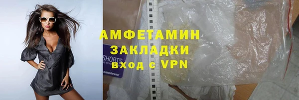 амф Горняк