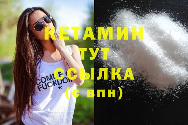 шишки Горно-Алтайск
