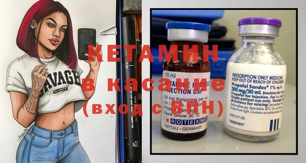шишки Горно-Алтайск