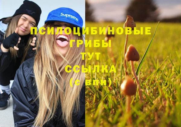 мет Горнозаводск