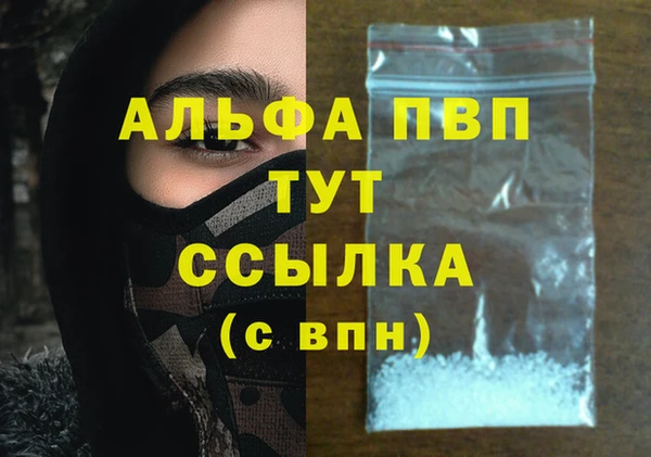 шишки Горно-Алтайск