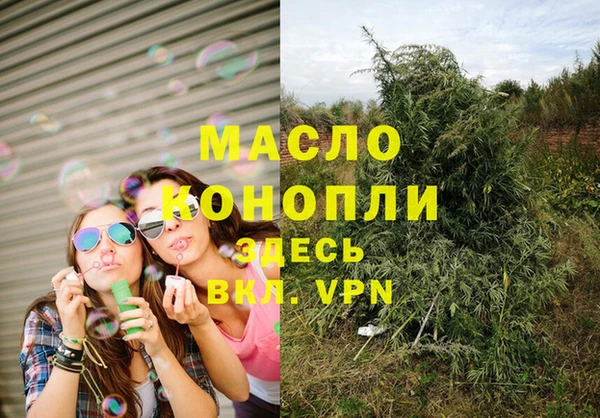 шишки Горно-Алтайск