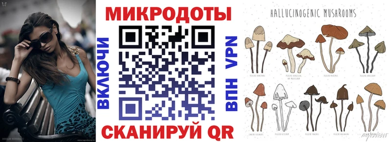 Купить  Шарыпово  Псилоцибиновые грибы прущие грибы 
